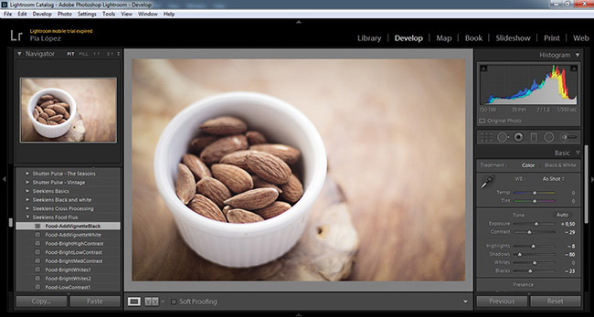 User interface for the develop mode