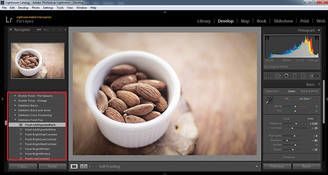 Preview Image Panel