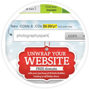 Find a Domain Name