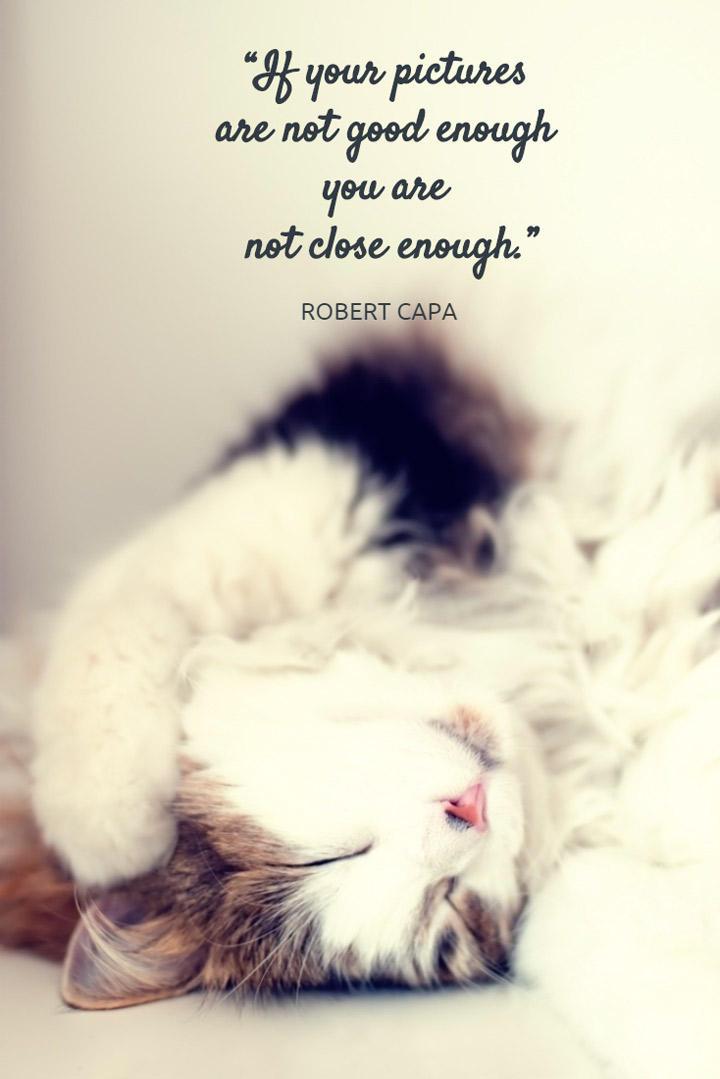 One of my favorite quotes. 20 more in this list (click above).