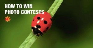 Ideas for winning a photo contest